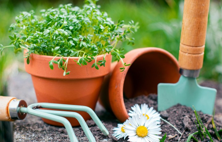 Jarná príprava záhrady: 30-minútový plán, ktorý zvládnete aj po práci